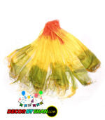 Multi Jali Mehndi Dopatta 12pcs Pack