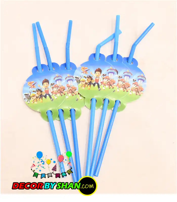 PAW Petrol Birthday Character Set